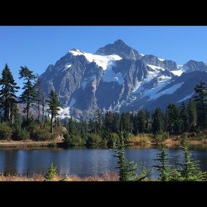 Meet your Posher, Tami